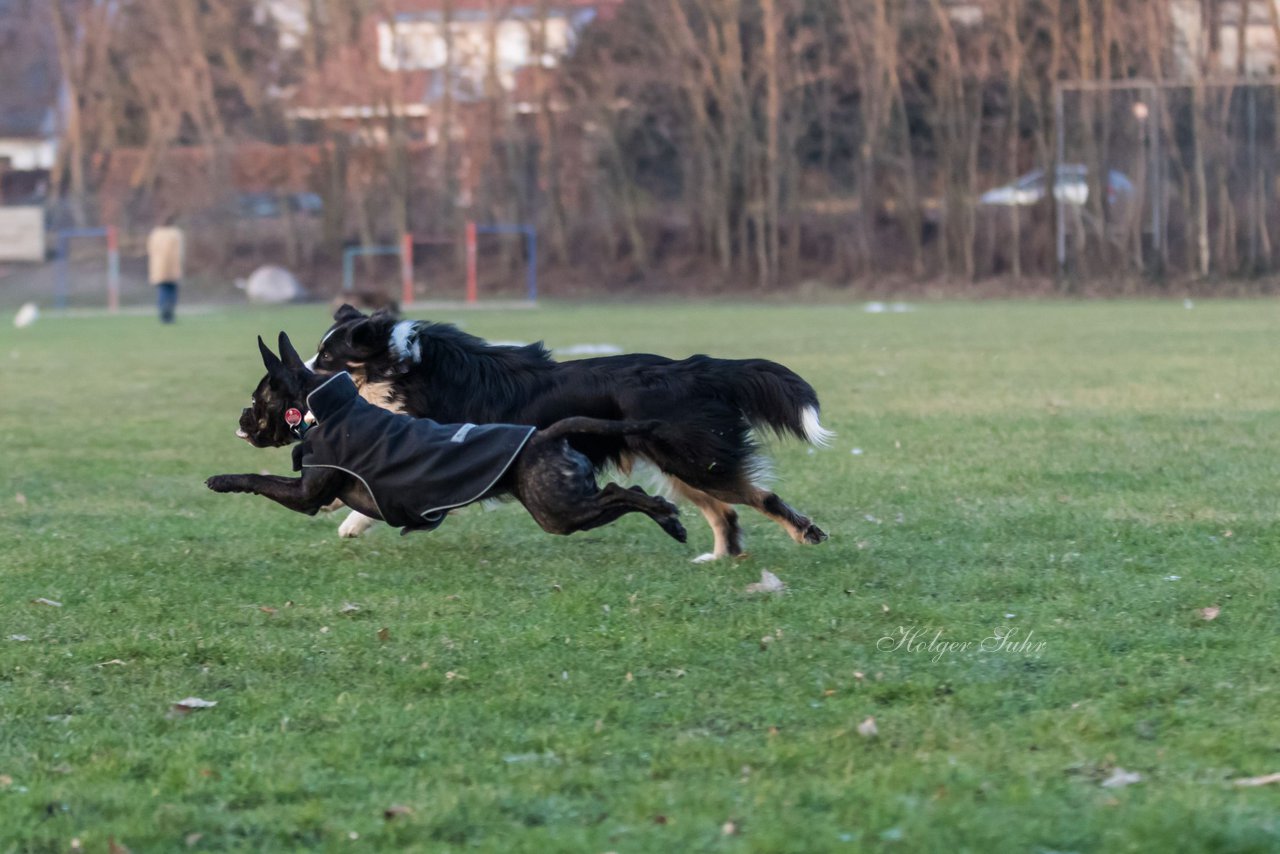 Bild 63 - Hundeshooting